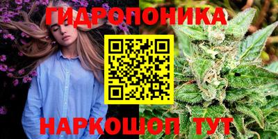 Альфа ПВП Пенза