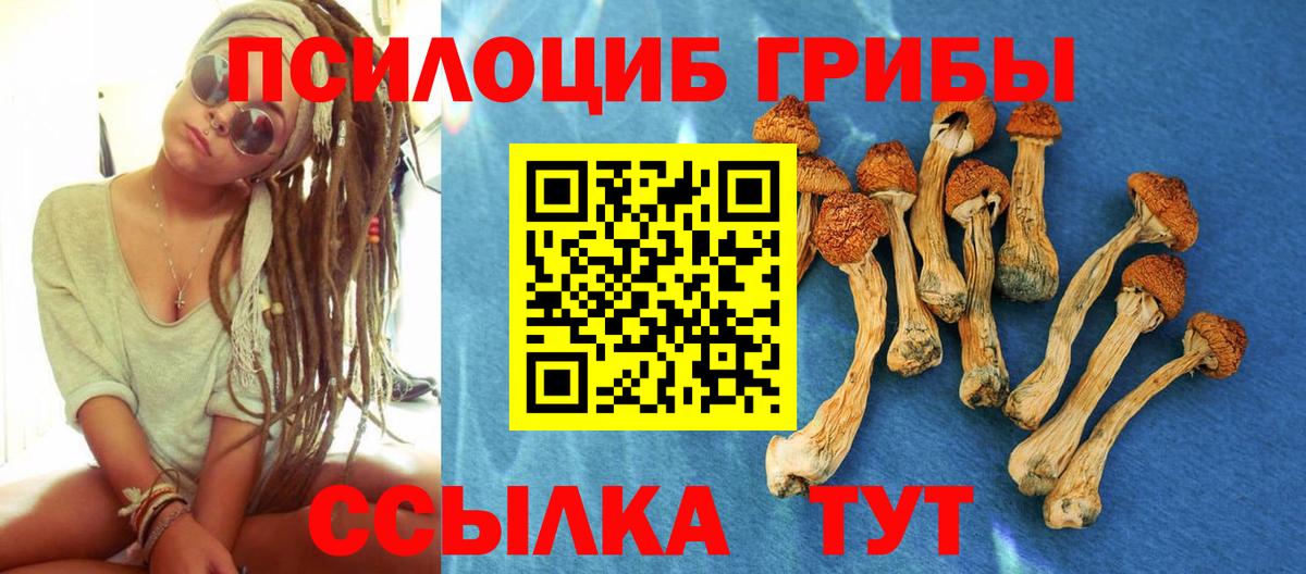 Галлюциногенные грибы MAGIC MUSHROOMS Строитель